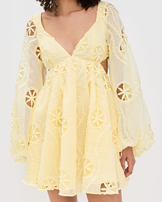 Primavera Embroidered Babydoll Dress